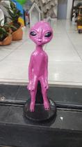 Et Jardim Pink
