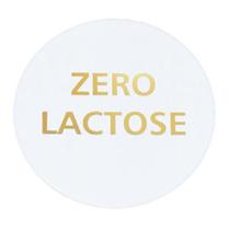 Etiqueta Zero Lactose Ouro 2517 Com 100 Unidades Ideia