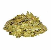 Eucalipto 500 gramas Erva seca