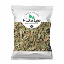 Eucalipto chá Safra Selecionada Com Laudo de Qualidade 300g ou 500g Eucalipto chá Safra Selecionada Com Laudo de Qualidade 300g ou 500g