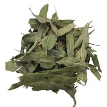 Eucalipto Citrus 250Gr (Erva seca)