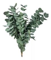 Eucalipto Desidratado Decoração Mesa Arranjo Convite Festa 50Cm