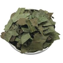 Eucalipto Globulus 100g (Erva Desidratada) Eucalipto Globulus 100g (Erva Desidratada)
