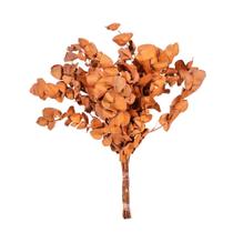 Eucalipto Laranja Desidratado p/ Decoração Eucalipto Laranja Desidratado p/ Decoração