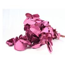Eucalipto Pink Desidratado p/ Decoração Eucalipto Pink Desidratado p/ Decoração