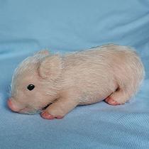 Eummy Pig Best Gift-5 polegadas Mini Leitão de silicone realista branco, animais falsos elásticos de corpo inteiro Silicone Baby Pig, animais de silicone bonito falso renascer, Lifelike Baby Piggy Doll corpo macio