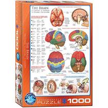 EuroGraphics Corpo Humano (O Cérebro) Puzzle 1000 Peças