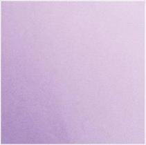 Eva make+ 60x40 lilás - pt c/ 10 un.