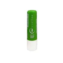 Evelize Protetor Labial Bastão 3g Fresh Mint