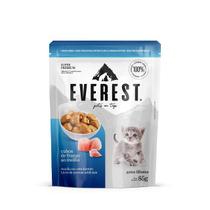 Everest gatos filhotes sabor frango sachê 85g