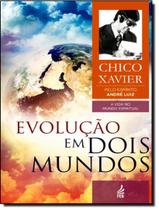Evolucao Em Dois Mundos Vol. 10 - FED. ESPIRITA BRASILEIRA