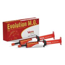 Evolution Vansil Modificador Orgânico Suplemento Equino Pasta 40g - Embalagem com 2 Unidades