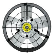 Exaustor Industrial 30 Cm Com Reversão 220v Exaustor Industrial 30 Cm Com Reversão 220v