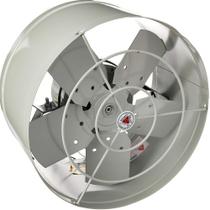 Exaustor Industrial 30Cm Axial Venti Delta