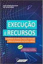 Execução e Recursos: Cumprimento de Sentença, Processo de Execução e Meios de Impugnação das Decisões Judiciais - CONTEMPLAR Execução e Recursos: Cumprimento de Sentença, Processo de Execução e Meios de Impugnação das Decisões Judiciais - CONTEMPLAR