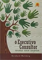 Executivo Consultor, O Executivo Consultor, O