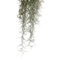 Exo-terra planta plastica cabello spanish large pt-3092 Exo-terra planta plastica cabello spanish large pt-3092