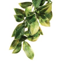 Exo-terra planta plastica terrario mandarin medium pt-3012 Exo-terra planta plastica terrario mandarin medium pt-3012