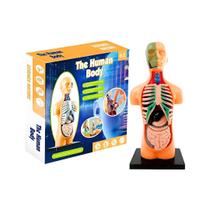 Experiência Ciência do Corpo Humano 3D Torso - Nettoy