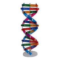 Experiência de ciência biológica com modelo de dupla hélice de DNA DIY