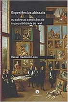 Experiências abissais: ou sobre as condições de impossibilidade do real