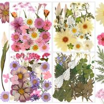 Exposição de 104 peças de flores secas para artesanato em resina e bricolage Exposição de 104 peças de flores secas para artesanato em resina e bricolage