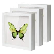 Expositores Shadow Boxes QDSSDECO 8x8 3D Shadow Box Set