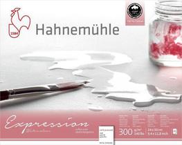 Expression Hahnemuhle 300g Fina 24x30 20fls - Hahnemühle