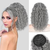 Extensão de rabo de cavalo AISI BEAUTY Grey Highlights 35 cm Curly