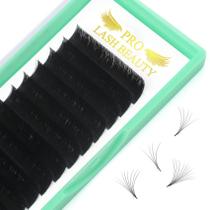Extensões de cílios de volume PRO LASHBEAUTY D-0.07 20-25mix