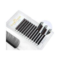 Extensões De Cílios Flora Fairy 5D Em 12 Fileiras, Cílios Falsos De Volume Em Espinhos Premontados