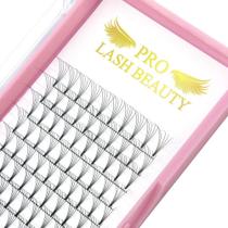 Extensões de cílios pré-fabricadas para ventiladores PRO LASHBEAUTY 5D-D-0,10-12 mm