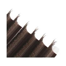Extensões De Cílios Premade Em Formato W 2D 3D 4D 5D, Macias, Naturais E Com Florescimento Extensões De Cílios Premade Em Formato W 2D 3D 4D 5D, Macias, Naturais E Com Florescimento