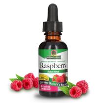 Extrato de ervas Nature's Answer Raspberry Leaf 30mL Extrato de ervas Nature's Answer Raspberry Leaf 30mL