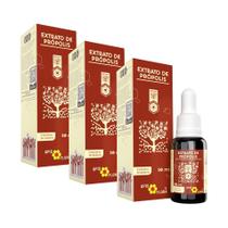 Extrato de Própolis 30ml Apis Flora - Kit 3 unidades
