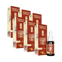 Extrato de Própolis 30ml Apis Flora - Kit 6 unidades