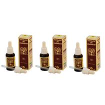 Extrato De Própolis Marrom 30ml Apis Flora Kit C/ 3 Frascos Extrato De Própolis Marrom 30ml Apis Flora Kit C/ 3 Frascos