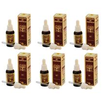 Extrato De Própolis Marrom 30ml Apis Flora Kit C/ 6 Frascos Extrato De Própolis Marrom 30ml Apis Flora Kit C/ 6 Frascos