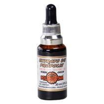 Extrato de Própolis Verde 20% Extrato Seco Livre de Cera 60 30ml - Polenectar