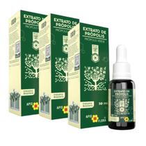 Extrato De Própolis Verde 30ml 3 Unidades - Apis Flora