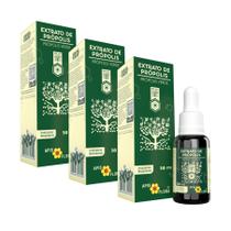 Extrato de Própolis Verde 30ml Apis Flora - Kit 3 unidades