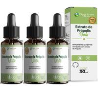 Extrato de Própolis Verde 30ml kit 3 Frascos Gotas Aumento Imunidade Extrato de Própolis Verde 30ml kit 3 Frascos Gotas Aumento Imunidade