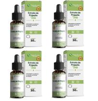 Extrato de Própolis Verde 30ml kit 4 Frascos Gotas Aumento Imunidade Extrato de Própolis Verde 30ml kit 4 Frascos Gotas Aumento Imunidade