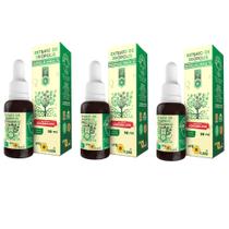 Extrato de Propolis Verde 70 - 30ml - Apis Flora Kit Com 3 Und