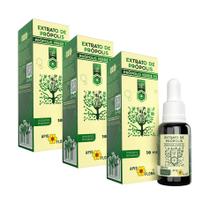 Extrato de Própolis Verde 70 Apis Flora 30 ml - Kit 3 unidades