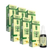 Extrato de Própolis Verde 70 Apis Flora 30 ml - Kit 6 unidades