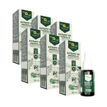 Extrato de Própolis Verde Orgânico 30 ml Apis Flora - Kit 6 unidades