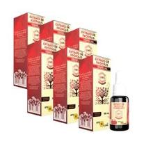 Extrato de Própolis Vermelha Apis Flora 20ml - Kit 6 unidades