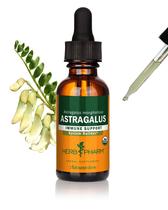 Extrato líquido Herb Pharm Astragalus 30mL Immune Support