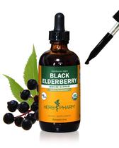 Extrato líquido Herb Pharm Black Elderberry 120mL orgânico Extrato líquido Herb Pharm Black Elderberry 120mL orgânico